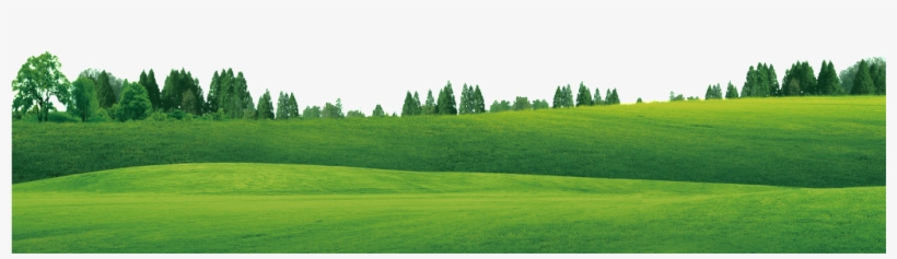 El Hermoso Paisaje De Césped - Lawn, transparent png download