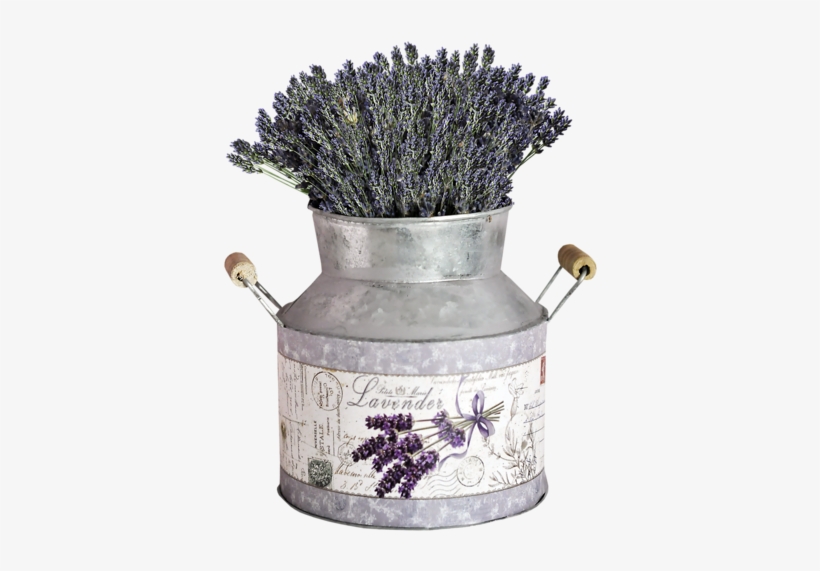 Lavender Fields - Flower, transparent png download