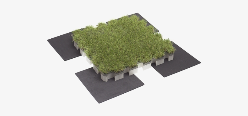 Roofingreen - Nature Drain - System, transparent png download