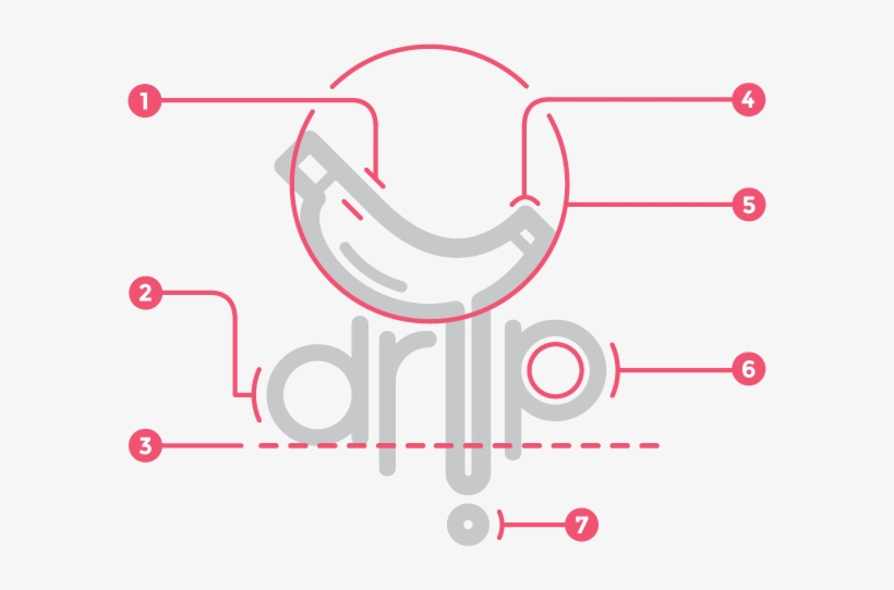 Identity Analysis - Circle, transparent png download