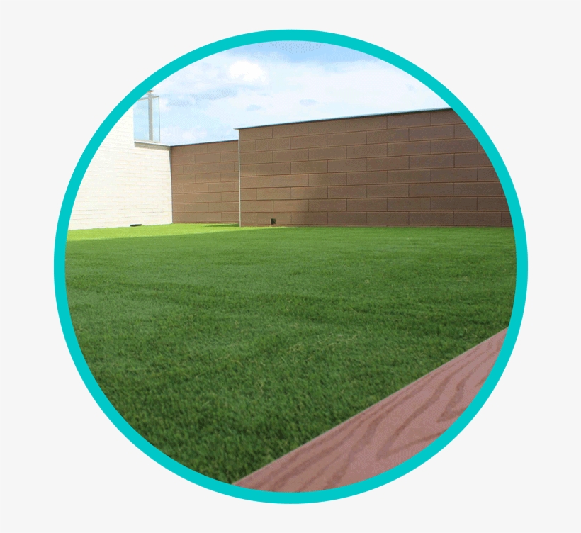 Cesped Artificial Decorativo - Lawn, transparent png download