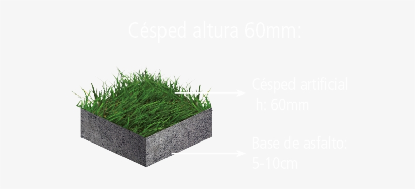 Estándar Fifa - Lawn, transparent png download