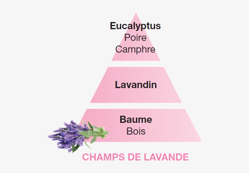 Lavender Fields 500ml - Lampe Berger Champ De Lavande, transparent png download