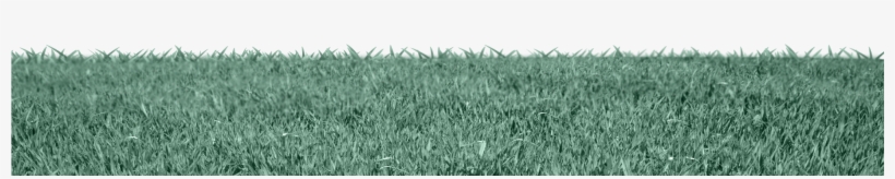 Cesped 02 - Field, transparent png download