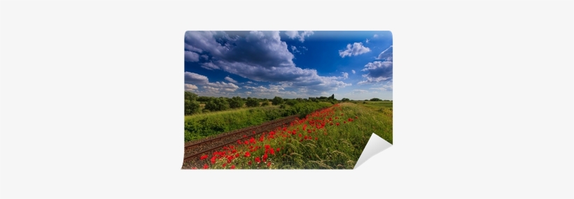 Beautiful Rural Scenery With Wild Flowers And Ominous - Gökyüzü, transparent png download
