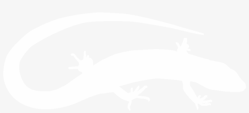 All About Birds, transparent png download