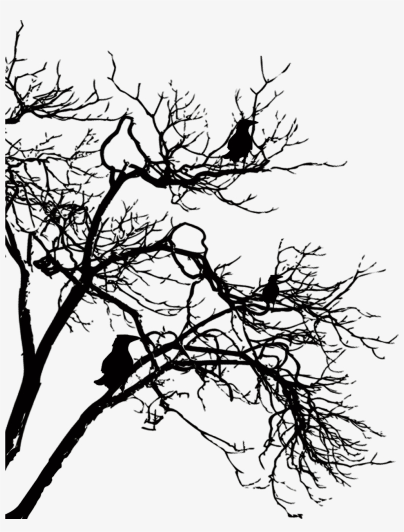 Por Años, La Absenta Sirvió De Inspiración A Grandes - Pure Vampire, transparent png download