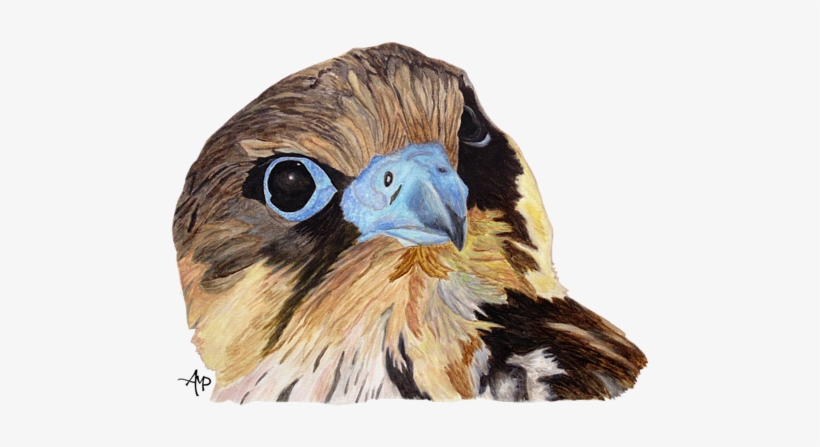 Click And Drag To Re-position The Image, If Desired - T-shirt, transparent png download