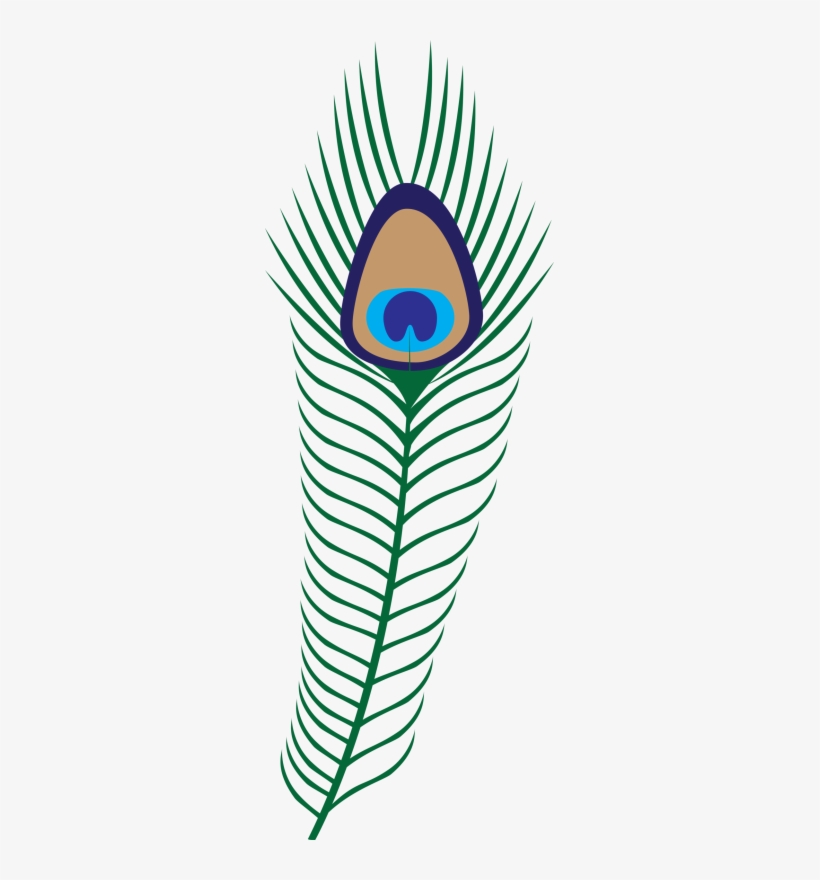Pin Peacock Feather Clip Art Free Download - Transparent Background Peafowl Clipart, transparent png download