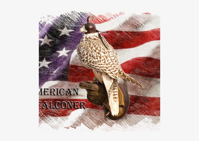 Open The Image To See Apparel With This Design - Partridge, transparent png download