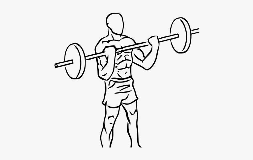 260 × 240 Pixels - Bicep Curl Line Drawing, transparent png download