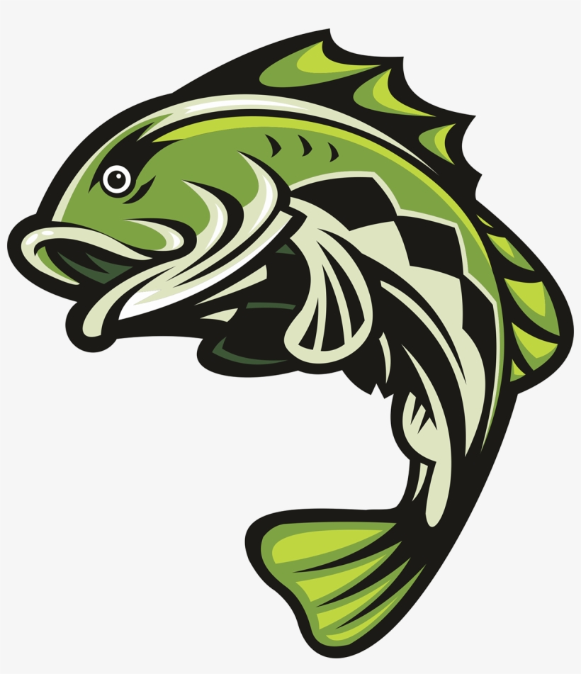 Bass Fish Transparent PNG - 1200x1334 - Free Download on NicePNG
