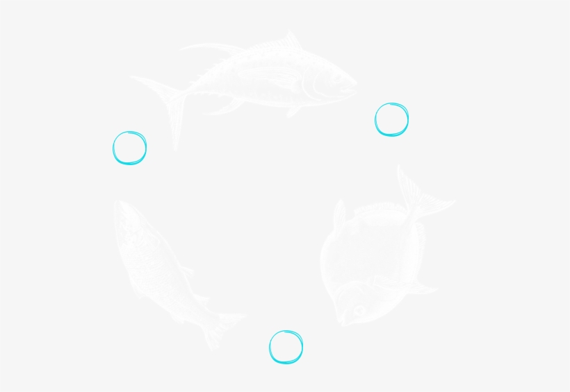 Blue Circle Image Of Three Illustrated Fish - Bony-fish, transparent png download