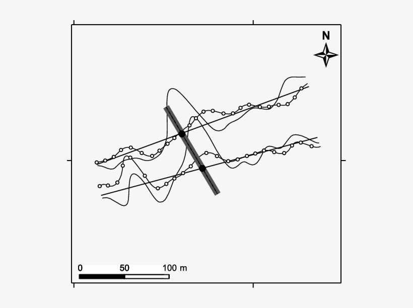 Positive Peaks Of The Real Component Of Almost Parallel - Parallel, transparent png download