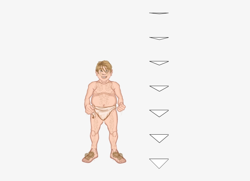 Lightfoot Halfling - Cartoon, transparent png download
