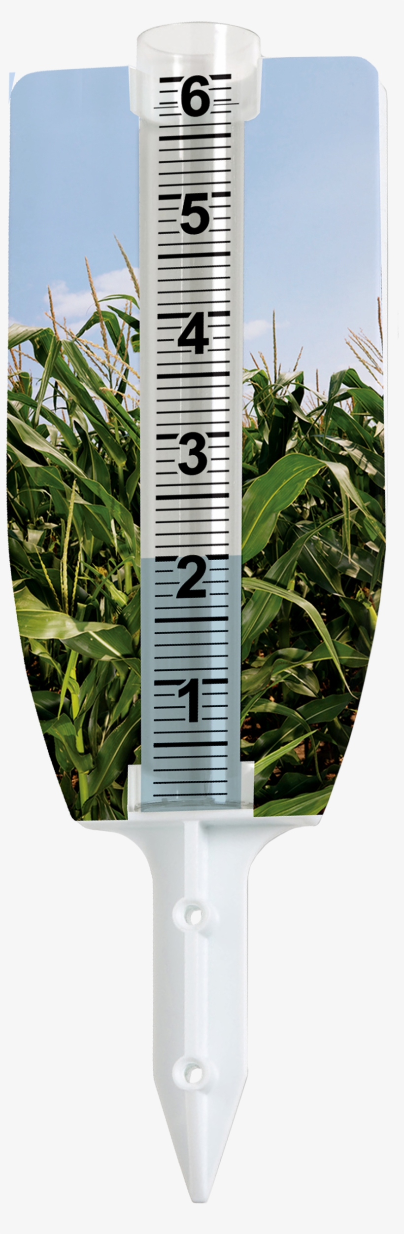 Cornfield On, transparent png download