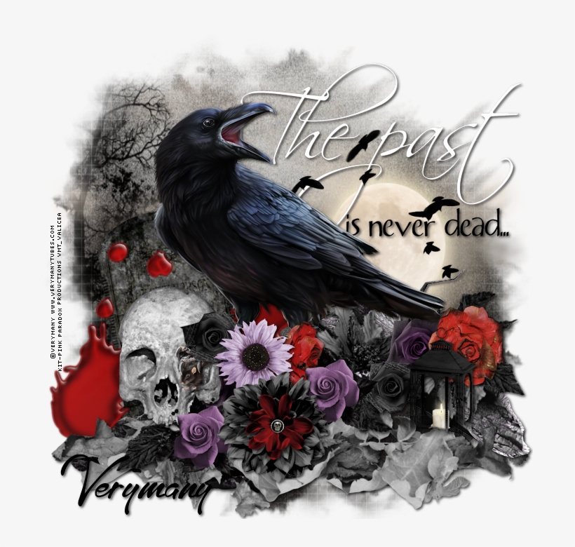 Past Is Never Dead - Raven, transparent png download