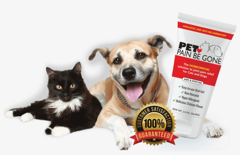 Cat And Dog Laying Next To Large Over Scaled Bottle - Fp Postbase Pic10 For Postbase Mailing Machines Oem, transparent png download