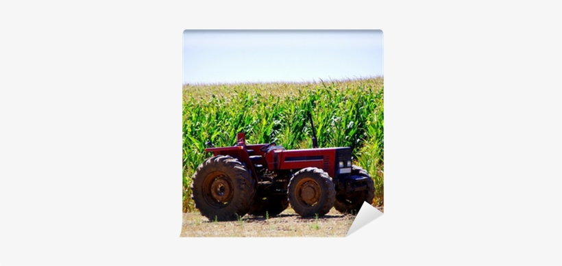 Stock Photography, transparent png download