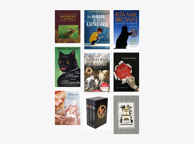 Incredible Journey - Trade Paperback, transparent png download