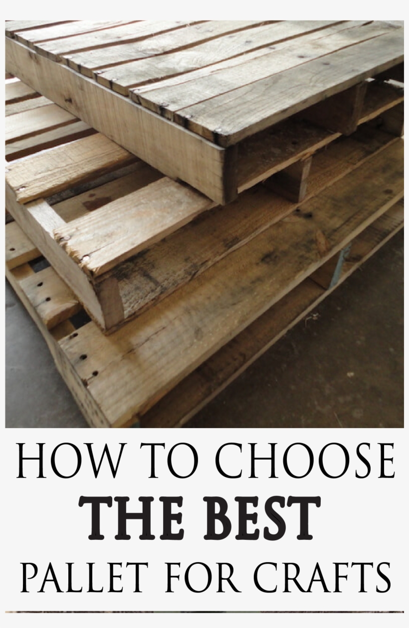 Learn What To Avoid And What To Look For When Choosing, transparent png download