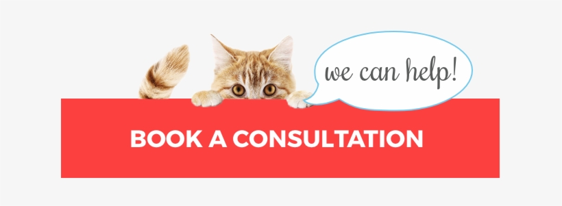 Cat Behaviorist, transparent png download