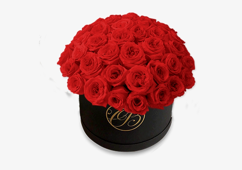Caja Redonda De Rosas Rojas - Flower, transparent png download