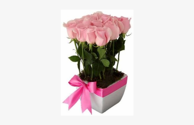 Floral Mi Motivo - Flores 10 De Mayo, transparent png download