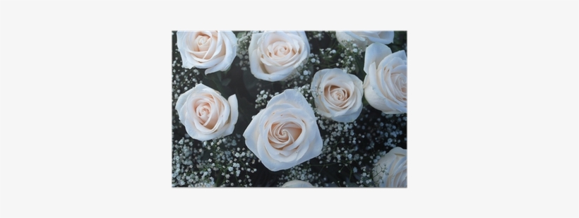 Ramo De Rosas Blancas - Garden Roses, transparent png download