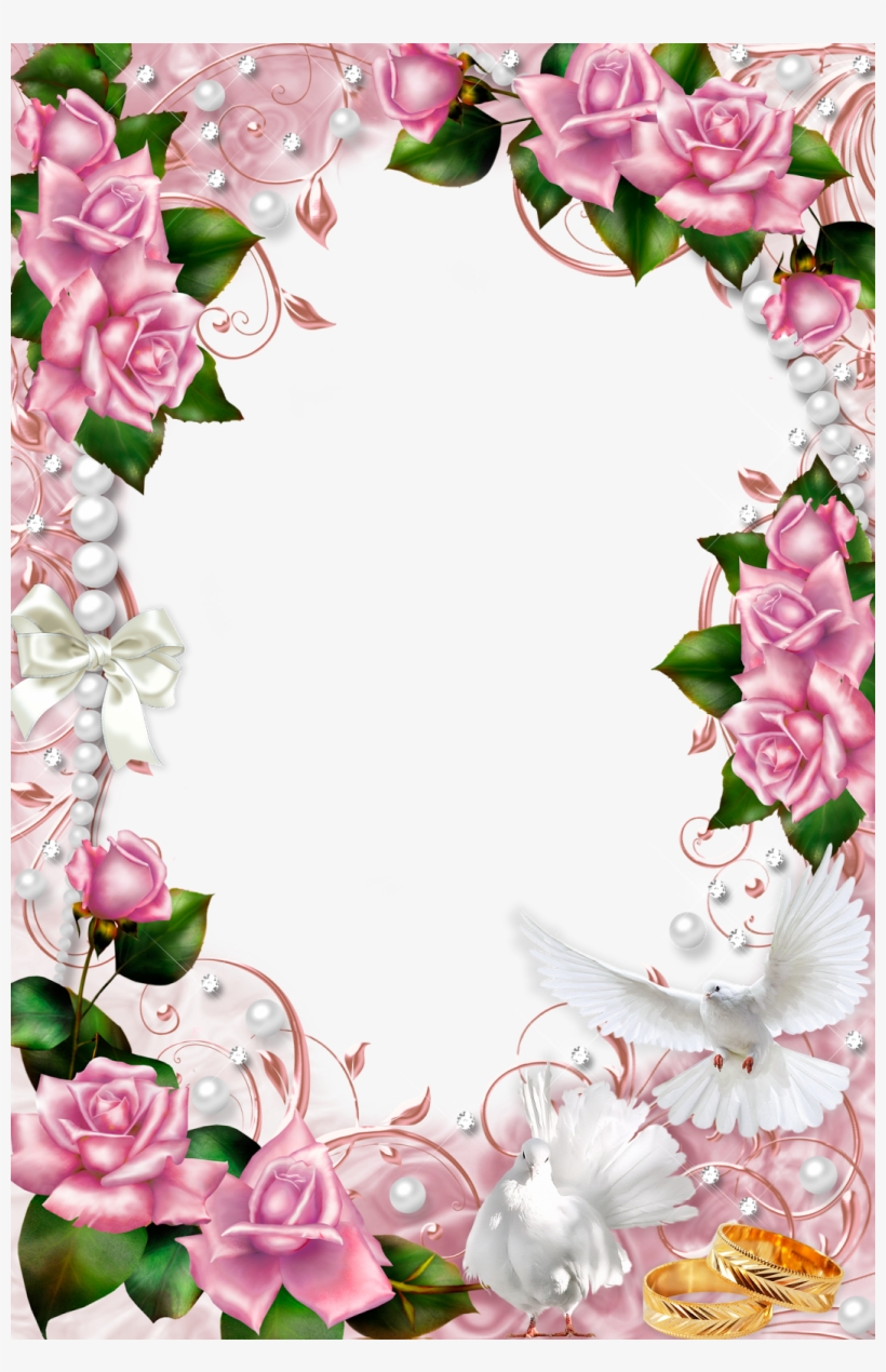 Rosas Blancas Png, transparent png download