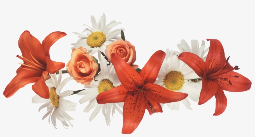 Stunning Fondos De Flores Para Coronas Fondo En Hd, transparent png download