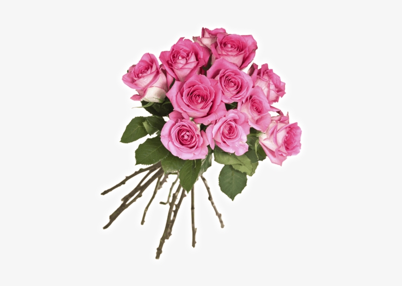 Florería De La Rosa - Flower, transparent png download