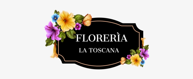 011 4205-8128 - Viola, transparent png download