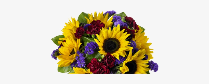 Regalar Flores - Gift, transparent png download
