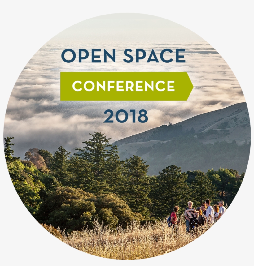 Bay Area Open Space Council • A Regional Coalition - Shortleaf Black Spruce, transparent png download