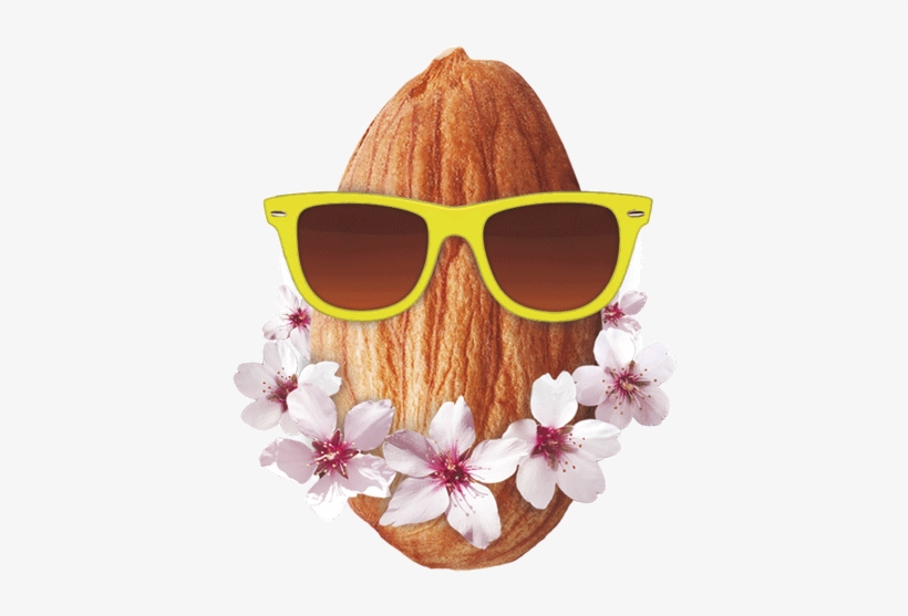 Almendra - Ecomil Nature Unsweetened Almond 1l 1 L, transparent png download