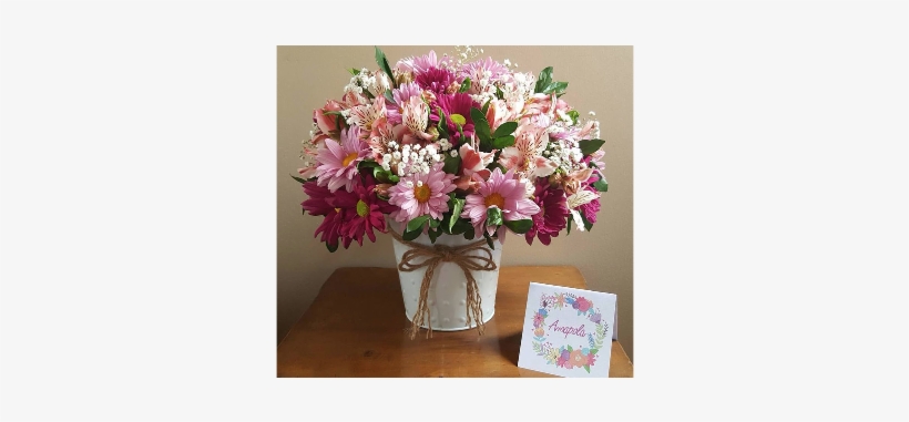 Contáctenos - Peruvian Lily, transparent png download