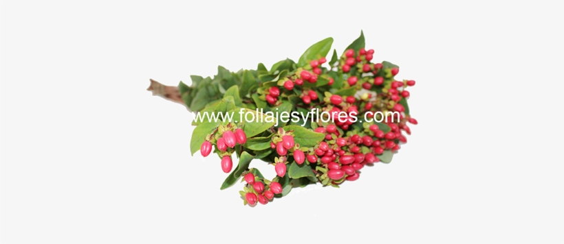 Mexico City, transparent png download