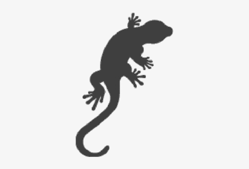 Gecko Lizard - Car Stickers Lizard Gecko Sticker, transparent png download