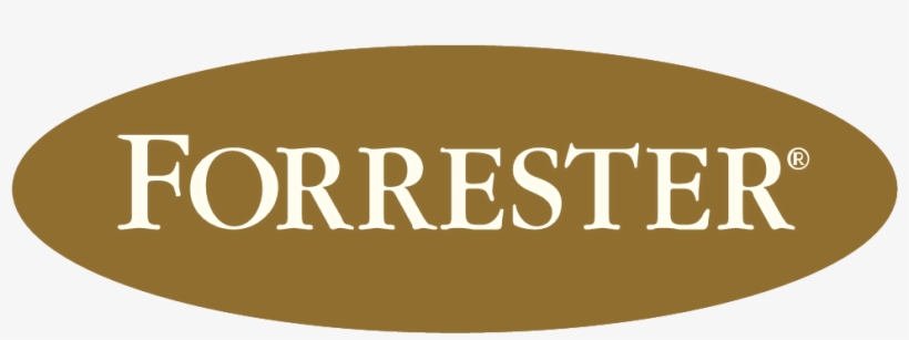 Como Aumentar Las Conversiones - Forrester Research, transparent png download