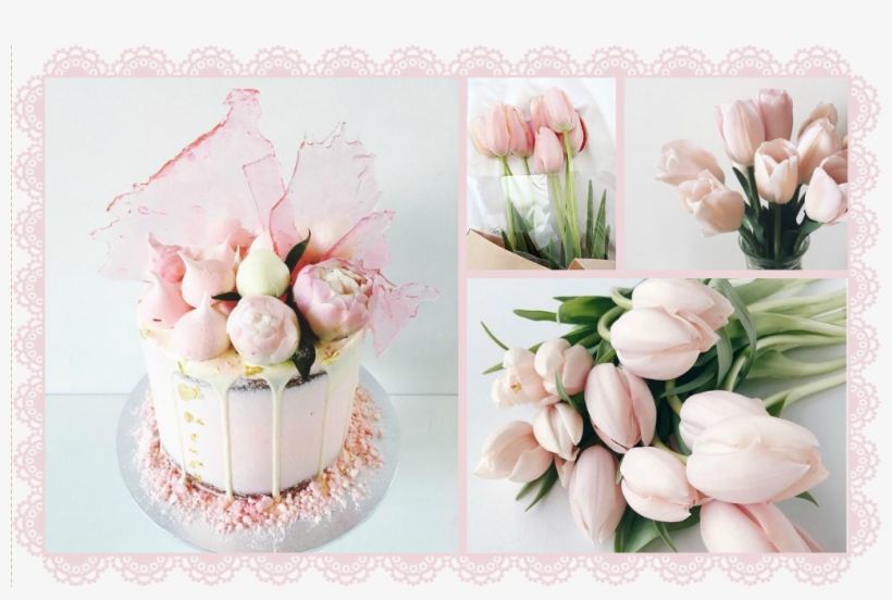 Picture Collage Maker Templates Beautiful Fotor Editing - Pink Tulips Backpack By Mayalova17, transparent png download