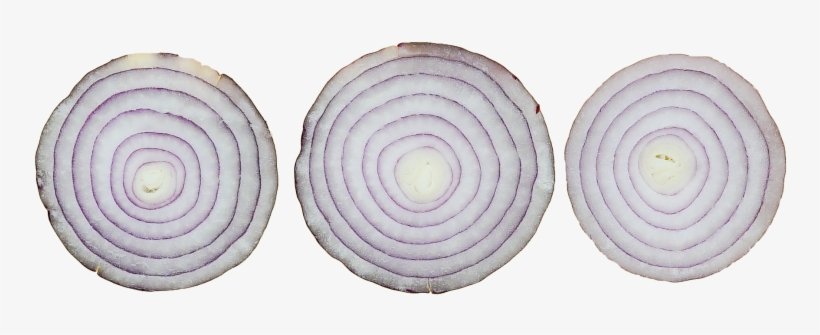 Onion Slices - Portable Network Graphics, transparent png download