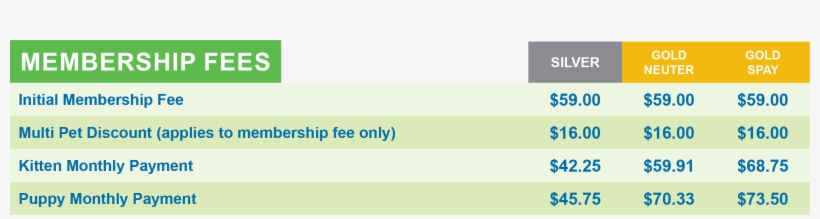 Restrictions - - Hail The Amber Lamps, transparent png download