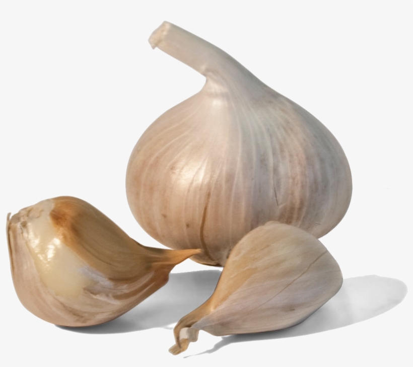 Dientes De Ajo Dibujo, transparent png download