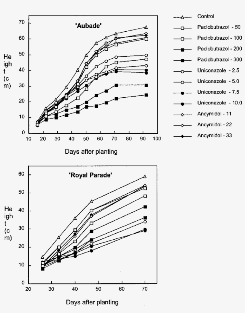 Changes In Plant Height Of Oriental Hybrid Lily 'aubade' - Diagram, transparent png download