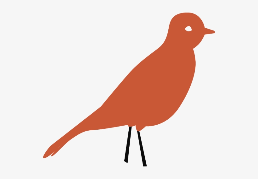 Passarinho Laranja - Finch, transparent png download