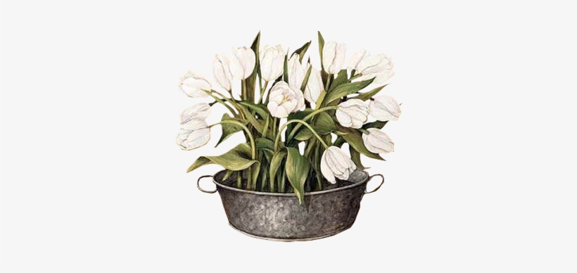Joyce Galley - White Tulips Canvas, transparent png download