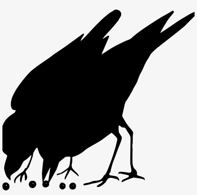 Download Png - Bird, transparent png download