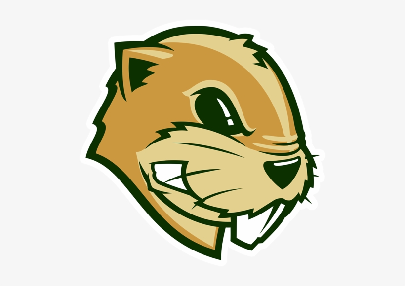Gophers - Minnesota Golden Gophers, transparent png download