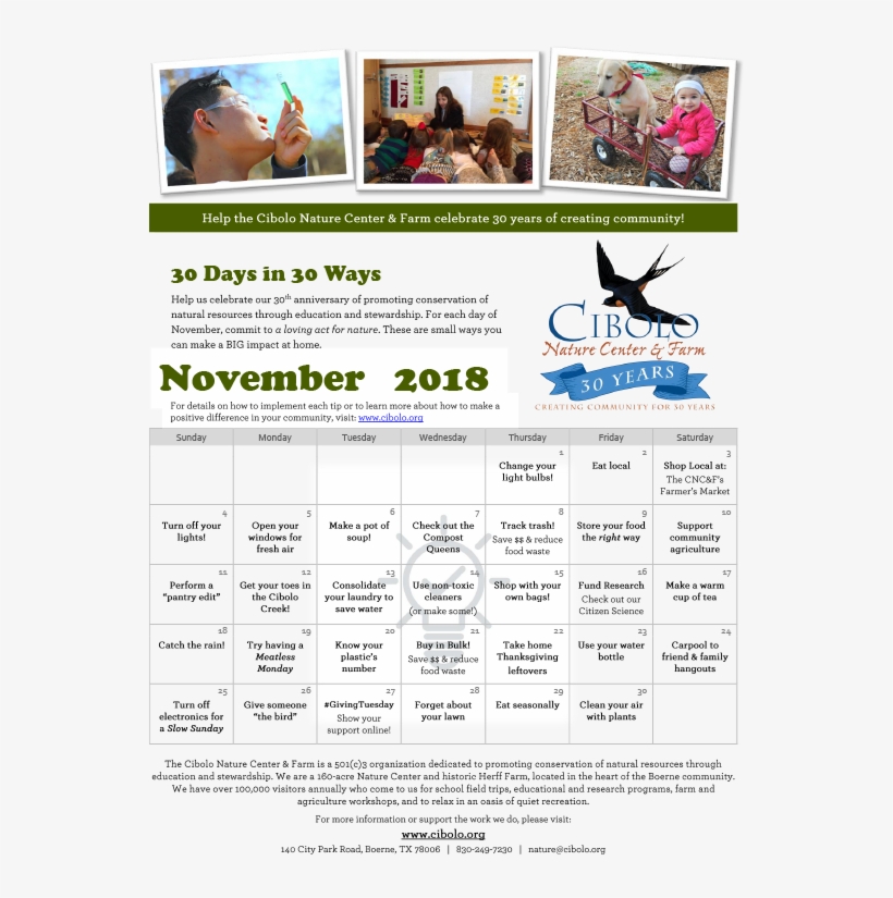 Animal, transparent png download